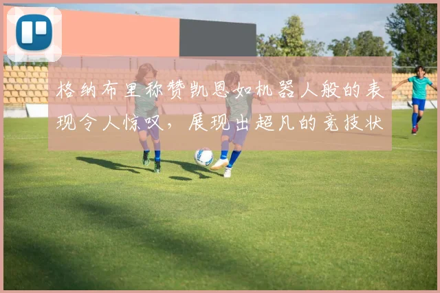 格纳布里称赞凯恩如机器人般的表现令人惊叹，展现出超凡的竞技状态