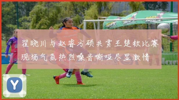 翟晓川与赵睿方硕共赏王楚钦比赛现场气氛热烈嗓音嘶哑尽显激情